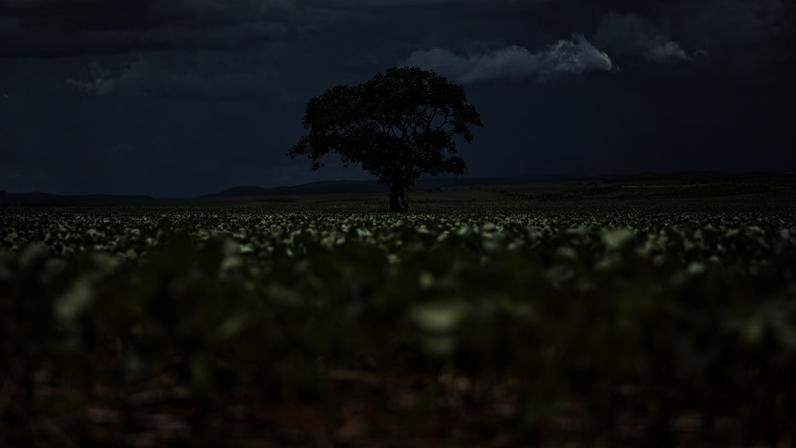 O campo passa por uma nova transformação