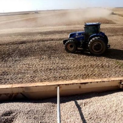Geopolítica dos fertilizantes reduz vulnerabilidade do agro brasileiro