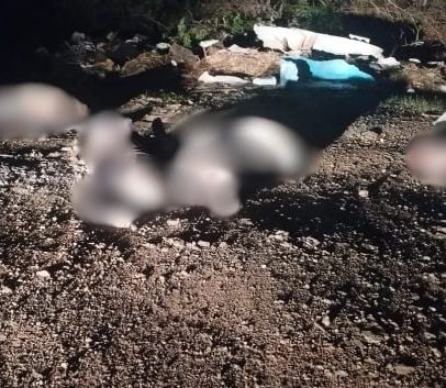 Quatro corpos são encontrados em estado de decomposição no Miramar