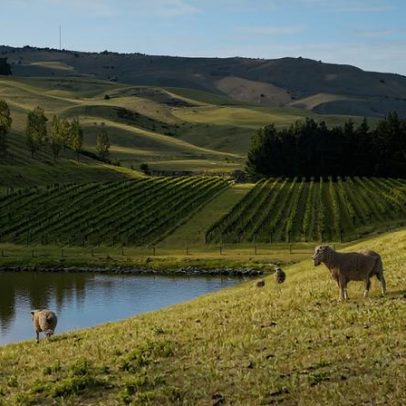 Descubra North Canterbury, a joia escondida da Nova Zelândia