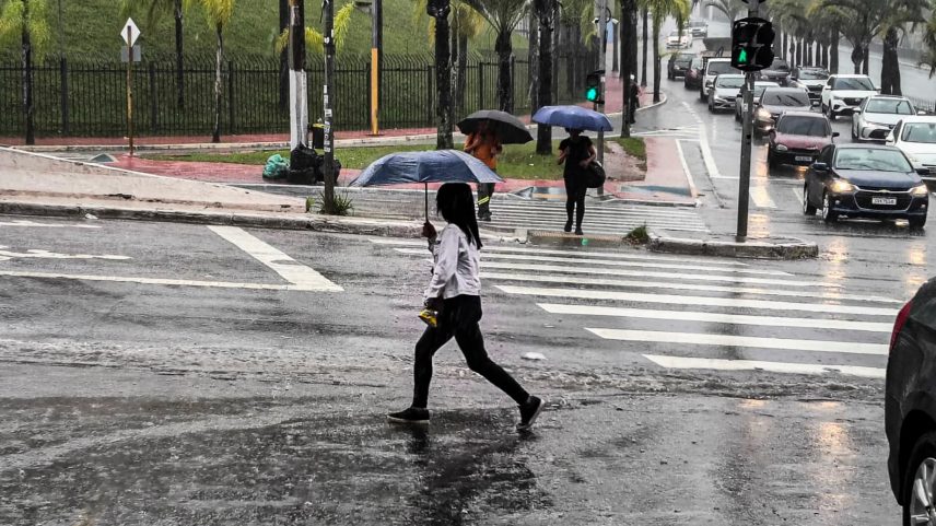 A previsão é que o acumulado de chuva atinja até 50 mm por dia, com ventos de até 60 km/h