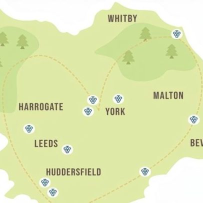 Vinhedos de Yorkshire lançam rota regional de vinhos