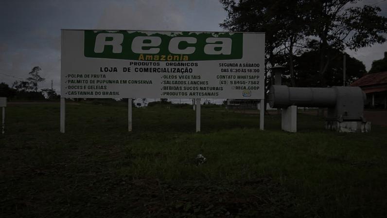 Estrutura organizacional da cooperativa permite assistência técnica contínua aos produtores associados