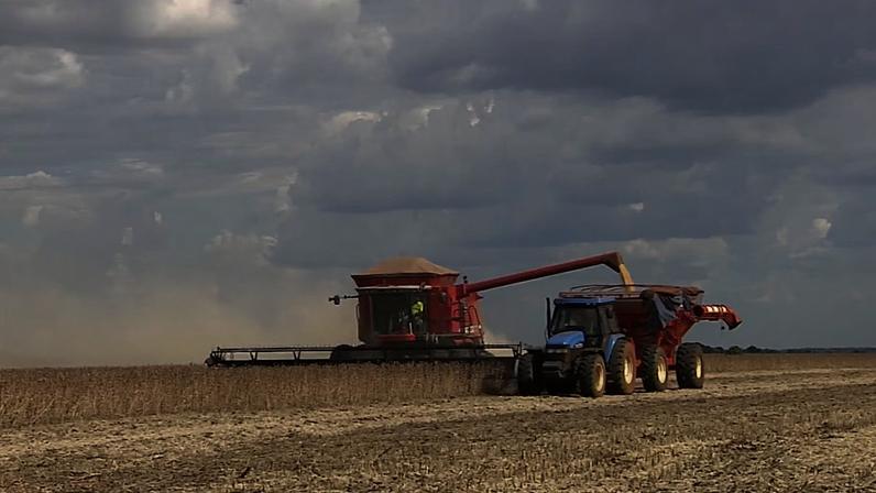Resultado de fevereiro de 2026 foi impulsionado pelos setores de agropecuária, indústria e serviços