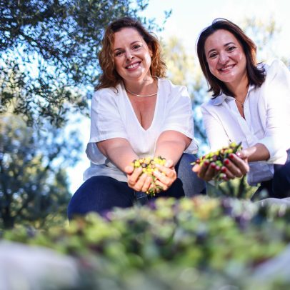 Borriello e Sápiras conectam produção e demanda para azeite premium no Brasil