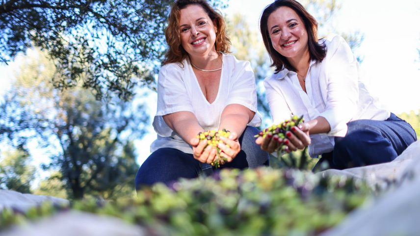 Borriello e Sápiras conectam produção e demanda para azeite premium no Brasil