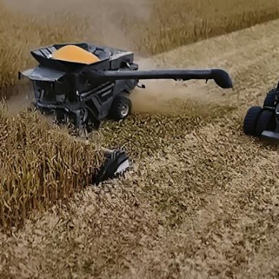 Pesquisador questiona custo do crédito agrícola anunciado pelo governo