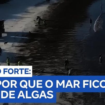 Algas invadem a Praia do Forte, em Cabo Frio, atraindo turistas