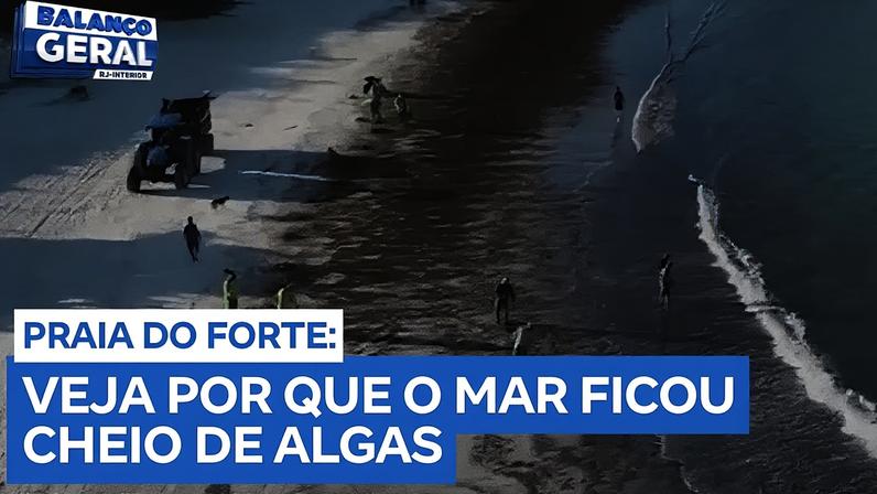Algas invadem a Praia do Forte, em Cabo Frio, atraindo turistas