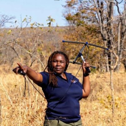 Conservacionista vence maior prêmio por proteger leões no Zimbábue
