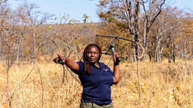 Conservacionista vence maior prêmio por proteger leões no Zimbábue