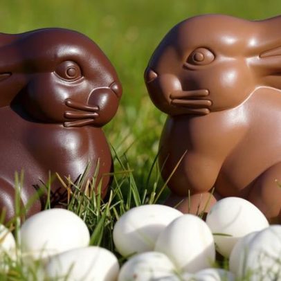Desmatamento ligado ao chocolate de Páscoa pode impactar o ambiente