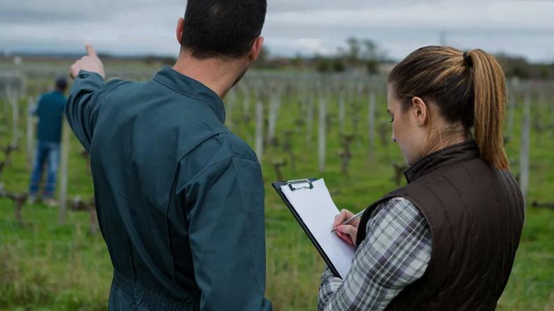 IA Lucien ajuda viticultores a evitar encargos administrativos