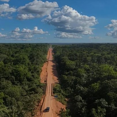 Observatório do Clima entra na Justiça contra obras da BR-319