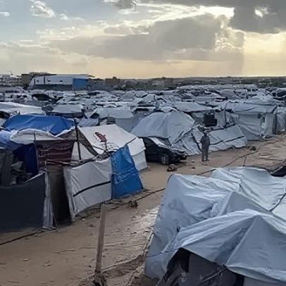 Infestação de ratos em Gaza envolve mordidas em crianças e doenças