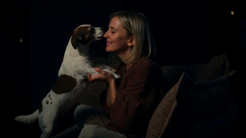 O bem-estar dos pets começa nas atitudes do dia a dia