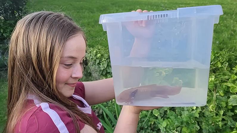 Melanie Hill Evie holding the axolotl in a container filled with water