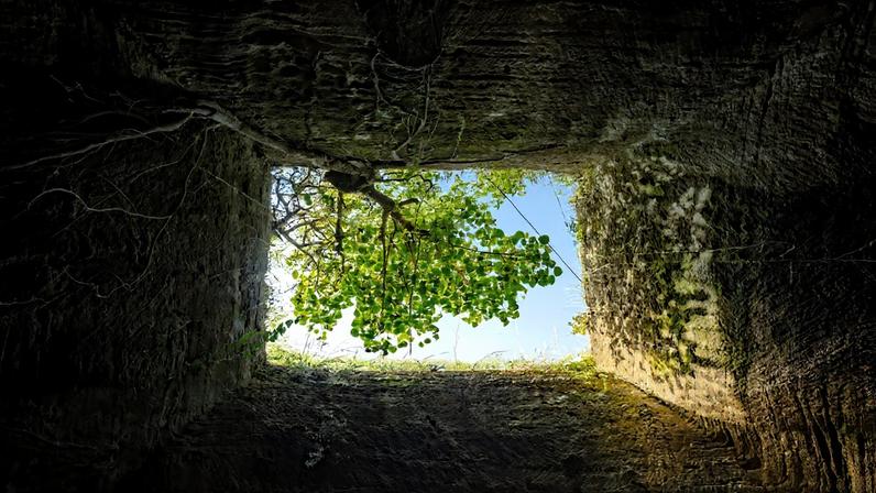 Puneet Vikram Singh, Nature and Concept photographer/ Moment via Getty Images