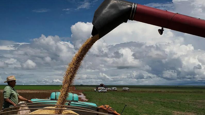 O aumento da produtividade não é apenas baixo, mas muito concentrado. A maior parte vem da agropecuária (VEJA.com/VEJA)