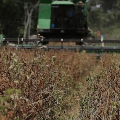 Indústria e agro projetam impacto bilionário com fim da escala 6x1