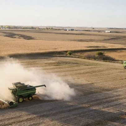 Calor extremo ameaça meios de subsistência, segundo a ONU