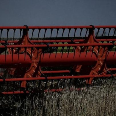 Trigo argentino sofre alta de fertilizantes antes do plantio