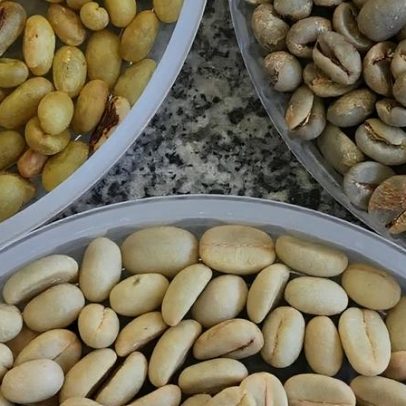 Produção de Café da Colômbia recua 29% em março por excesso de chuvas