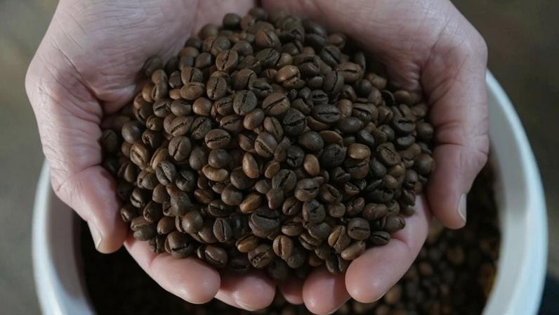 Grãos de café robusta na loja de sua fazenda em São Domingos do Norte, Estado do Espírito Santo, Brasil, em 23 de setembro de 2025