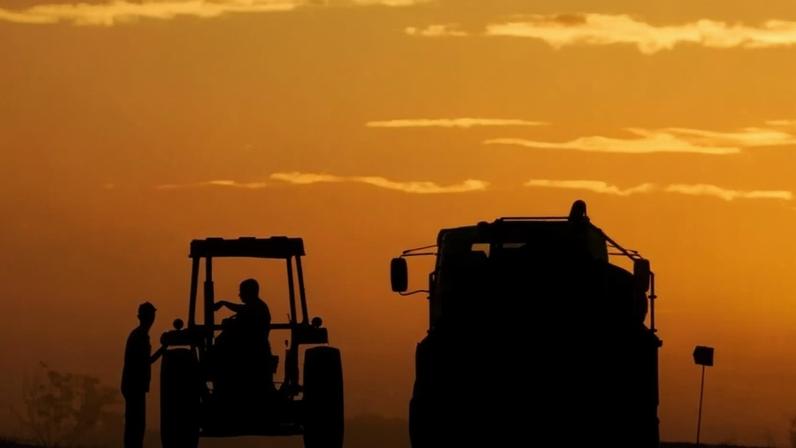 Trabalhadores são vistos no final do dia na fazenda de cana-de-açúcar Santa Elisa em Sertaozinho, cerca de 344 km a nordeste de São Paulo