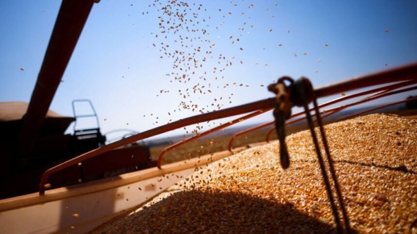 Grãos de milho são carregados em caminhão após serem colhidos em uma fazenda perto de Brasília, Brasil, em 22 de agosto de 2023