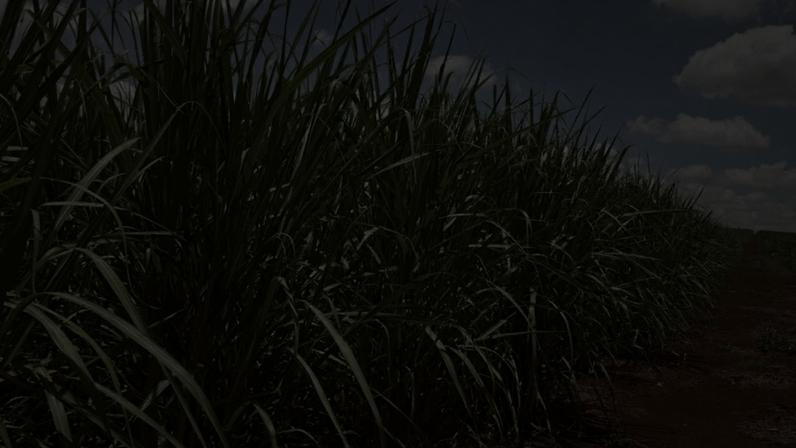 O país sul-americano havia aumentado a mistura de etanol de 27% para 30% em agosto do ano passado