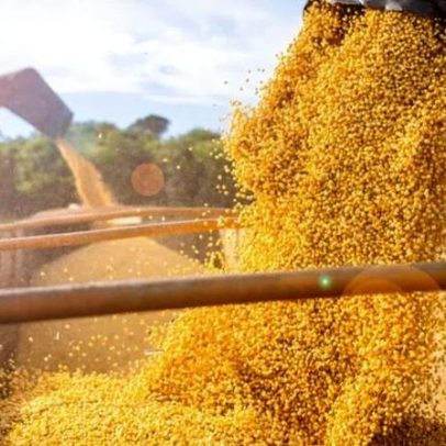 ANEC prevê crescimento das exportações de soja do Brasil em abril