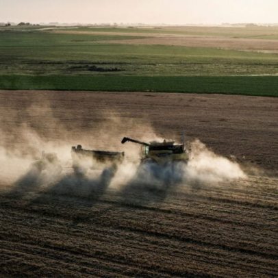 Trigo e milho sobem em Chicago devido a riscos climáticos e tensão no petróleo