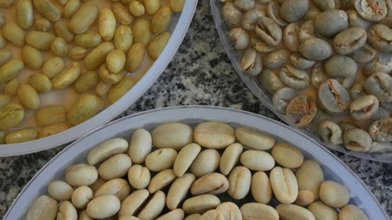 Os preços do produto do Vietnã caem frente à baixa demanda