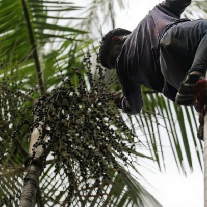 Governo investe R$ 132 milhões em regularização fundiária na Amazônia