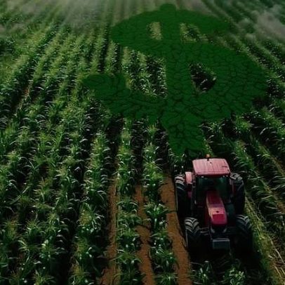 Family office gerencia R$ 5 bilhões para investidor do agronegócio