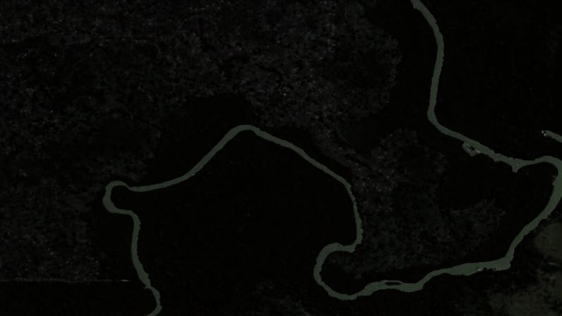 High-resolution satellite imagery allows IBAMA to detect deforestation in almost real time.