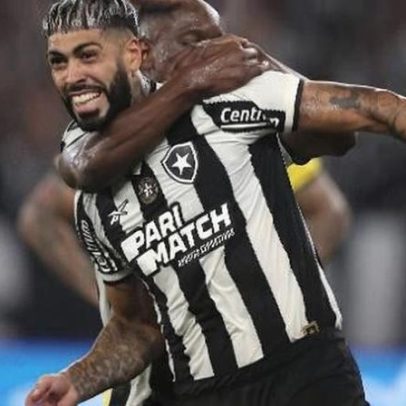 Palmeiras busca novo reforço de Botafogo, aponta oportunidade de mercado