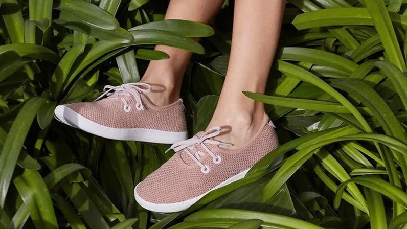 Allbirds: empresa anuncia mudança de foco para IA após queda em vendas