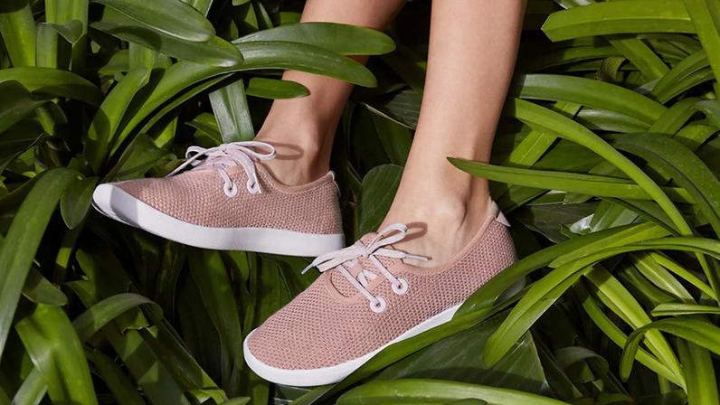 © Allbirds / Kotaku