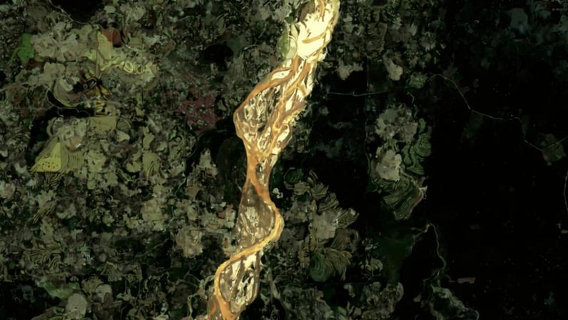 Earth Genome worked with Amazon Conservation and Pulitzer Center to build Amazon Mining Watch.