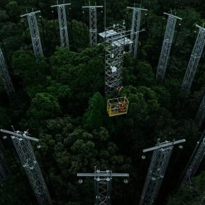 Fator humano ganha espaço em pesquisas biológicas na Amazônia