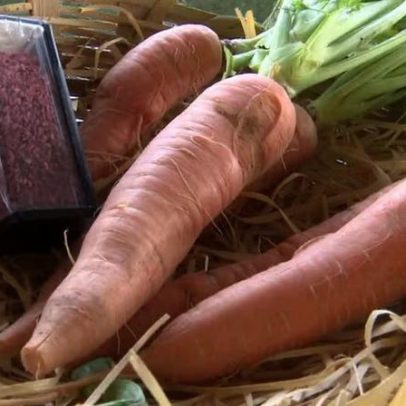 Calor extremo ameaça produção global de alimentos, alertam agências da ONU