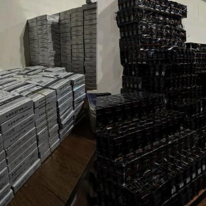 Casal de SP é investigado por manter 11 mil caixas de anabolizantes