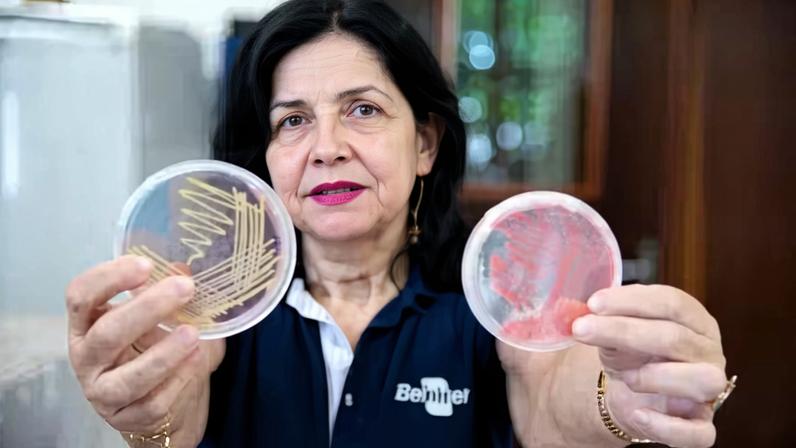 Pesquisadora da Embrapa, Mariangela Hungria desenvolveu soluções com microrganismos do solo que reduzem o uso de fertilizantes químicos na agricultura
