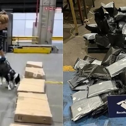 Mais de 280 kg de haxixe dos EUA são apreendidos em aeroporto de São Paulo