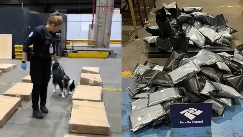 Droga foi localizada com auxílio de cães farejadores