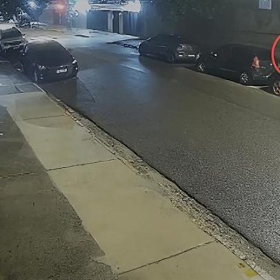 Homem mata capivara a pauladas no Recife; caso é investigado pela polícia