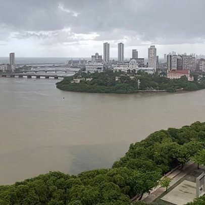 Recife é condenado a pagar danos após galho atingir carro