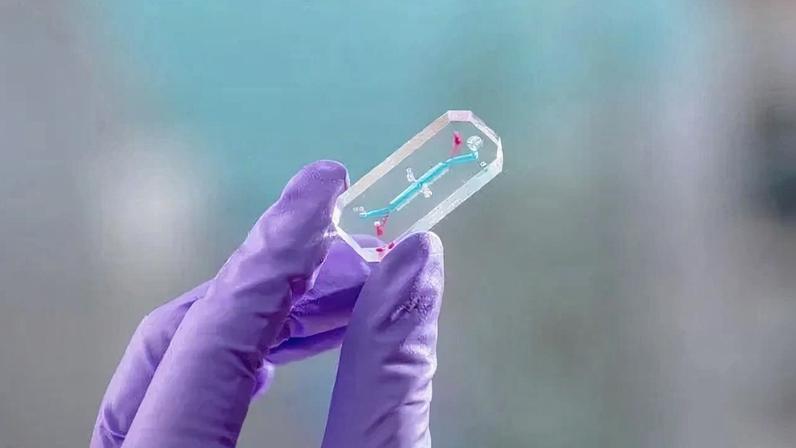 A investigação AVATAR utilizará chips de órgãos para estudar os efeitos do aumento da radiação e da microgravidade na saúde humana • Nasa